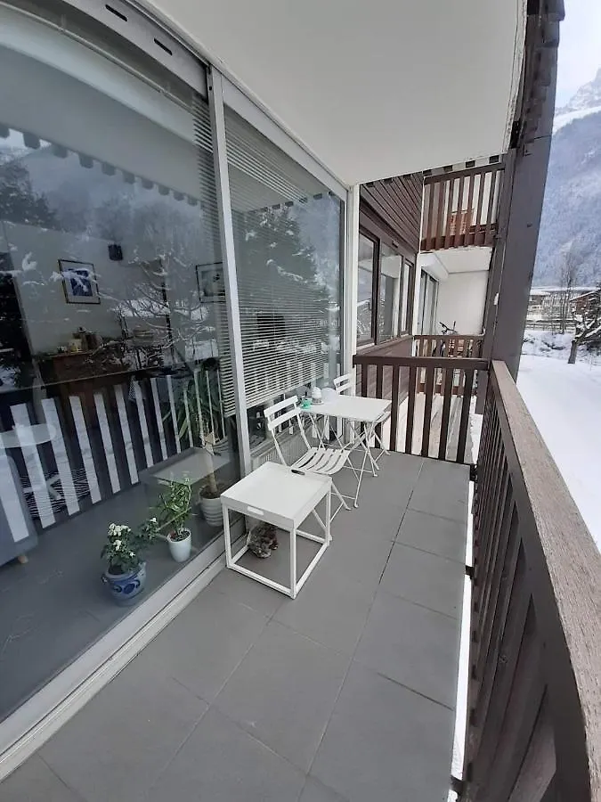 Apartment Studio Quartier Calme Centre Ville Vue Mont Blanc Chamonix France