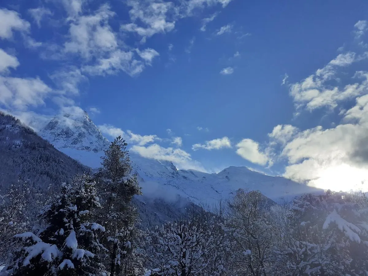 Studio Quartier Calme Centre Ville Vue Mont Blanc Chamonix Apartment