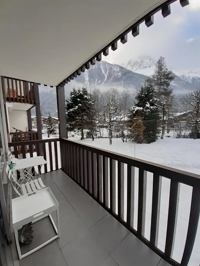 Studio Quartier Calme Centre Ville Vue Mont Blanc Chamonix Apartment