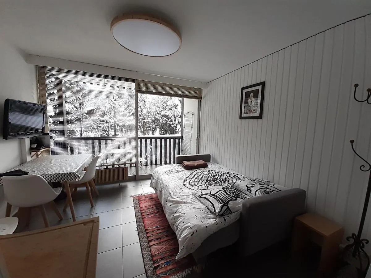 Studio Quartier Calme Centre Ville Vue Mont Blanc Chamonix Apartment