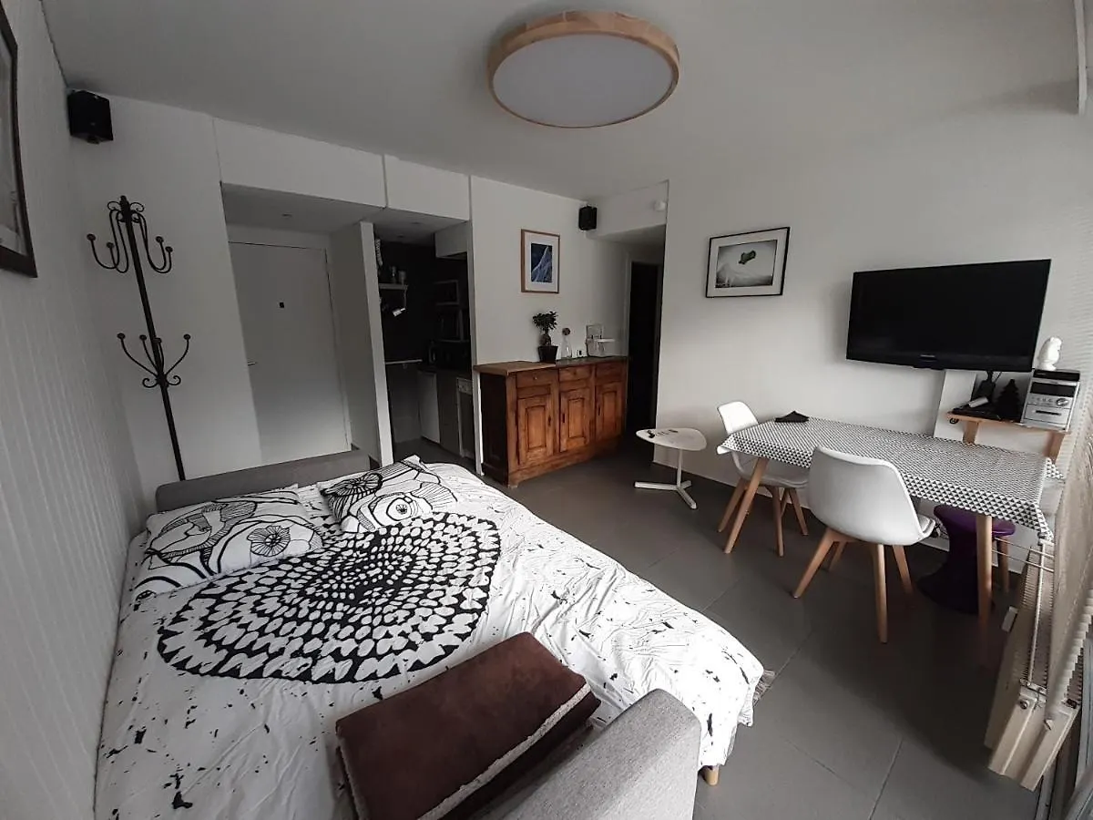 Studio Quartier Calme Centre Ville Vue Mont Blanc Chamonix