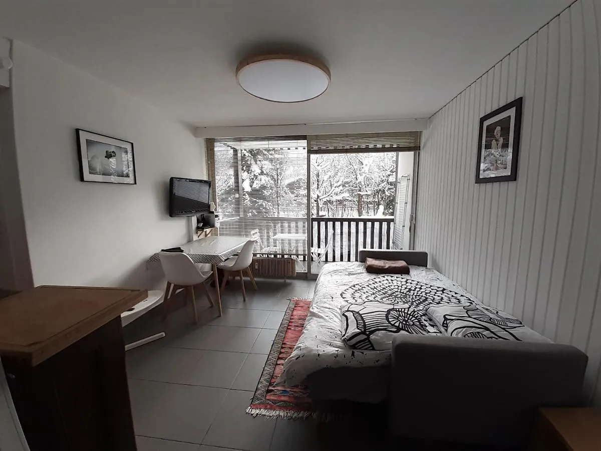 Apartment Studio Quartier Calme Centre Ville Vue Mont Blanc Chamonix