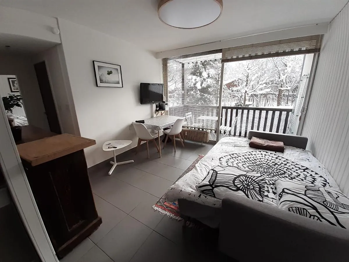 Studio Quartier Calme Centre Ville Vue Mont Blanc Chamonix