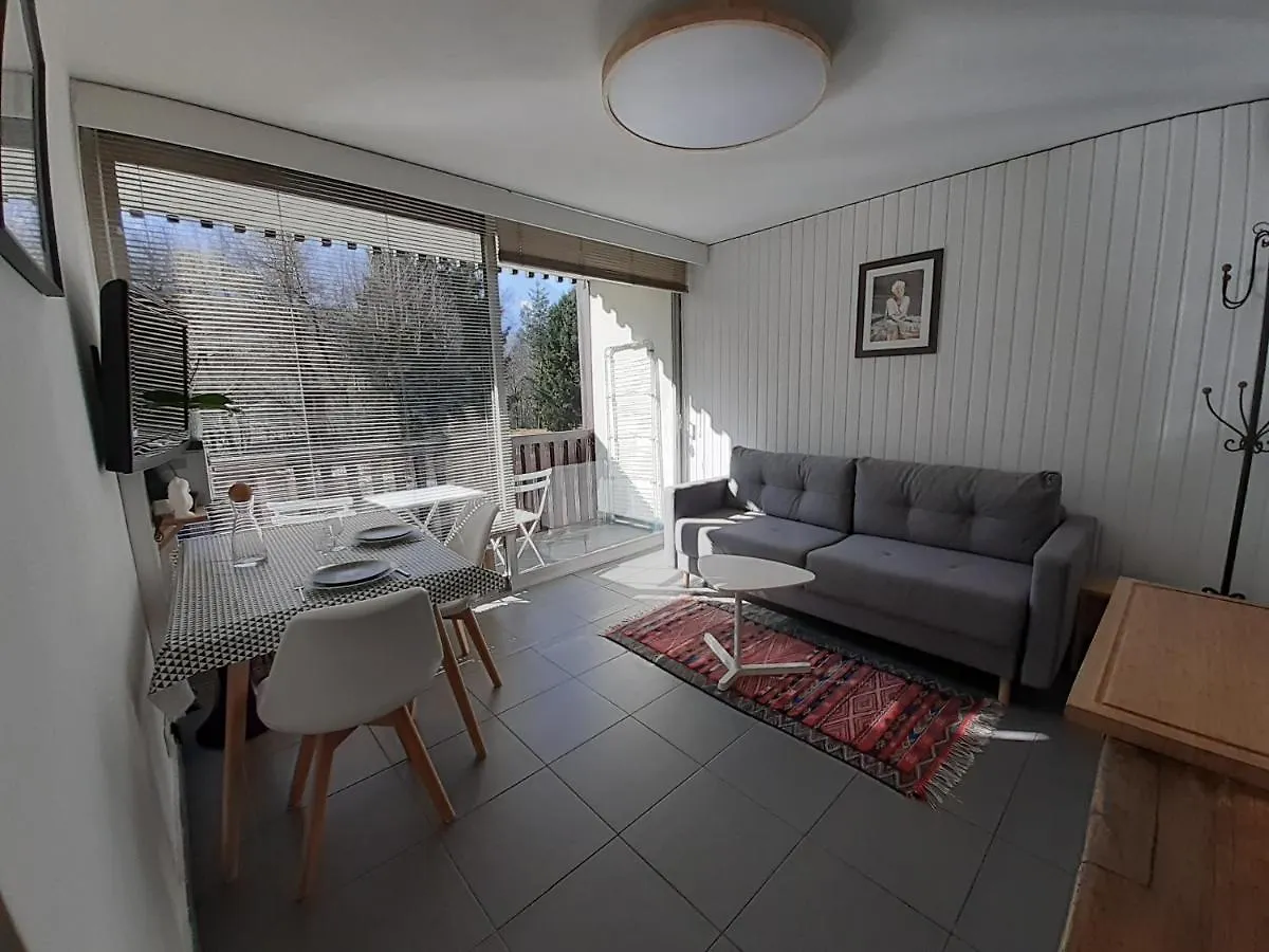 Studio Quartier Calme Centre Ville Vue Mont Blanc Chamonix