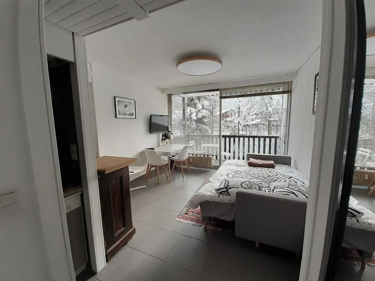 Studio Quartier Calme Centre Ville Vue Mont Blanc Chamonix Francie