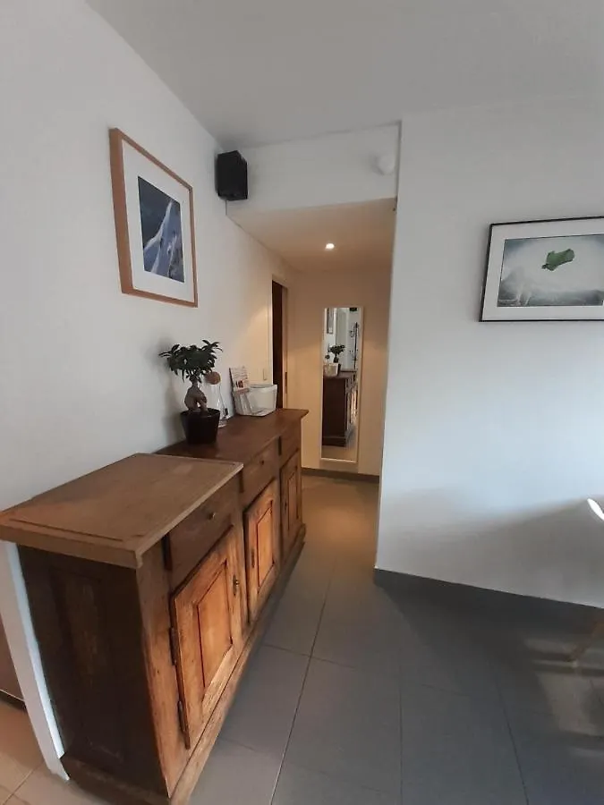 Studio Quartier Calme Centre Ville Vue Mont Blanc Chamonix France